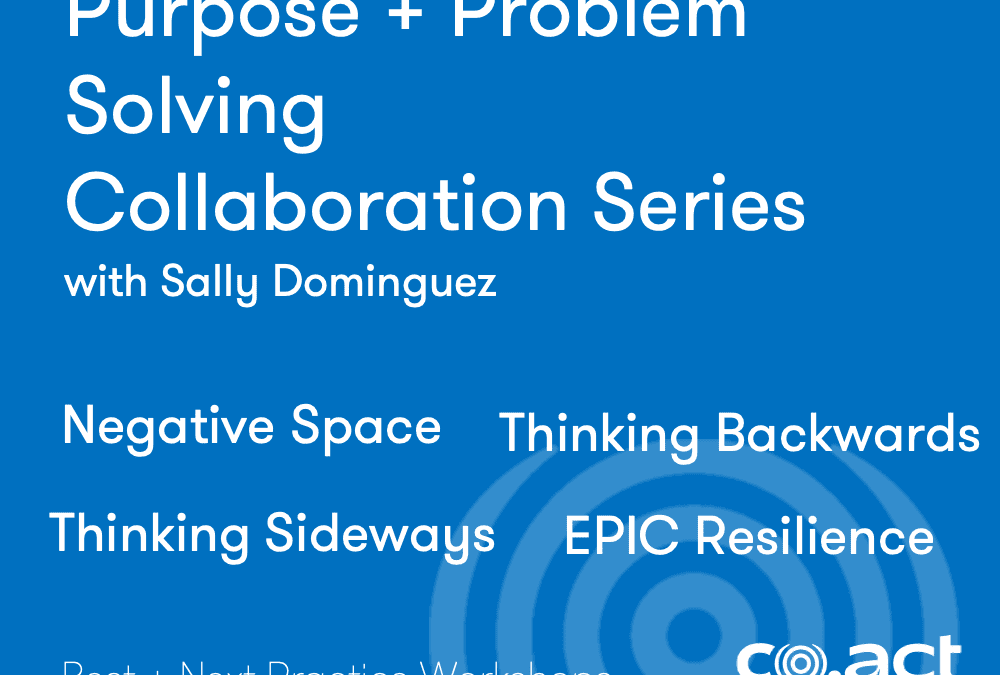 Purpose + Problem Solving Collaboration Series with Sally Dominguez